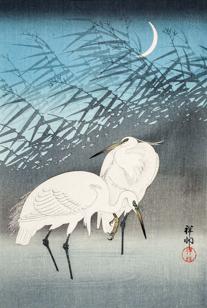 Image of Ohara Koson Egrets and Reeds in Moonlight (1926) - plakat Wymiar do wyboru: 21x29,7 cm