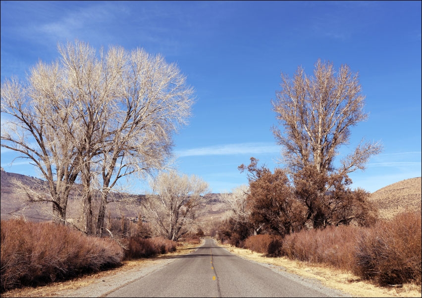 Image of Road in California., Carol Highsmith - plakat Wymiar do wyboru: 100x70 cm