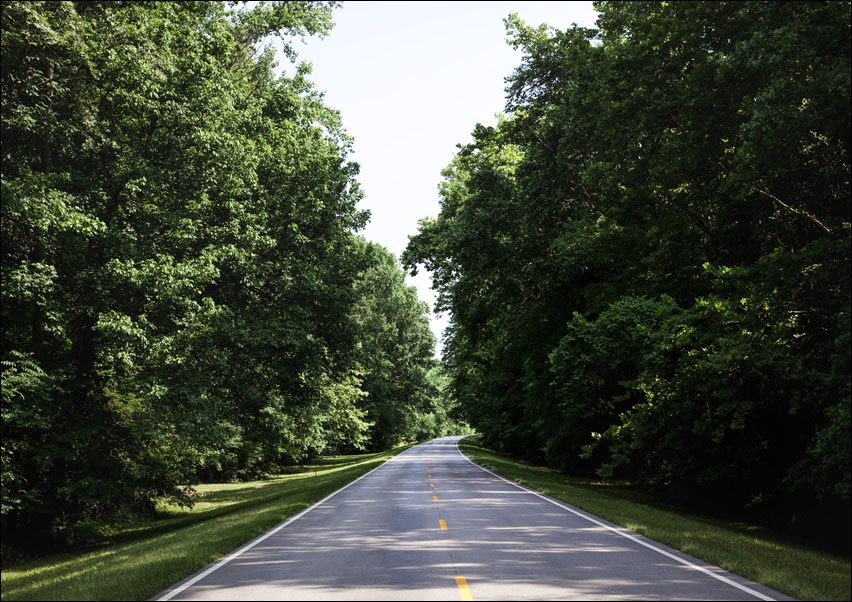 Image of Natchez Trace parkway in Florence, Alabama, Carol Highsmith - plakat Wymiar do wyboru: 91,5x61 cm