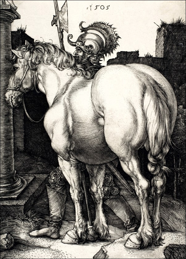 Image of The Large Horse, Albrecht Durer - plakat Wymiar do wyboru: 30x40 cm
