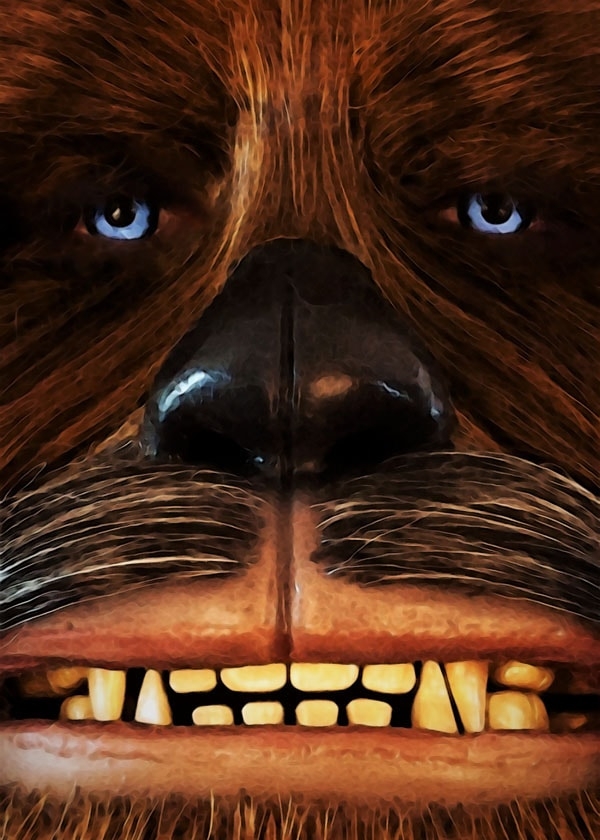 Image of Face It! Star Wars Gwiezdne Wojny - Chewbacca - plakat Wymiar do wyboru: 20x30 cm