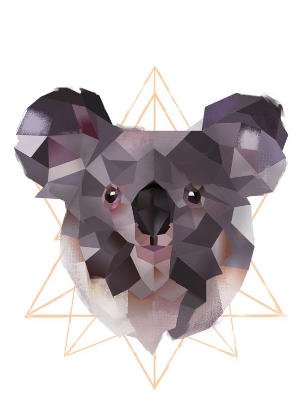Image of Koala na białym tle - plakat Wymiar do wyboru: 20x30 cm