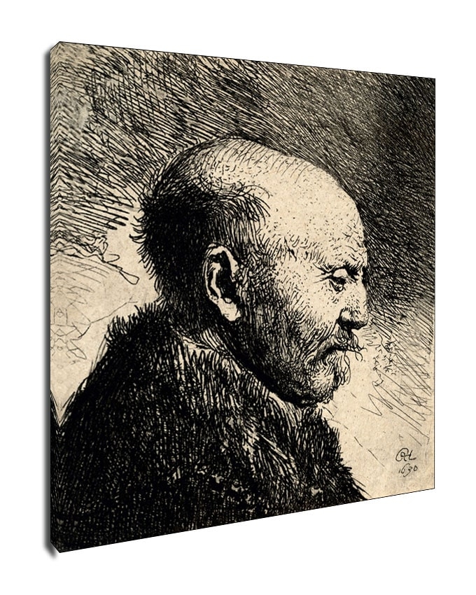 Image of A Bald Man in Profile, Rembrandt - obraz na płótnie Wymiar do wyboru: 61x91,5 cm