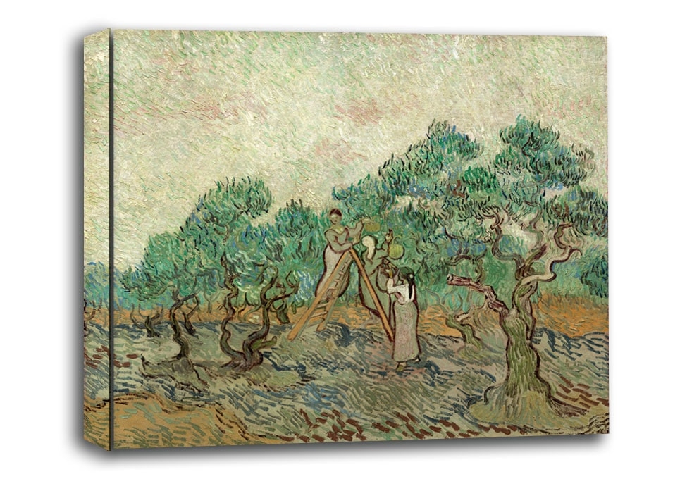 Image of The Olive Orchard, Vincent van Gogh - obraz na płótnie Wymiar do wyboru: 80x60 cm