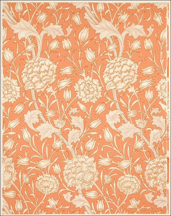 Image of Wild Tulip, William Morris - plakat Wymiar do wyboru: 21x29,7 cm