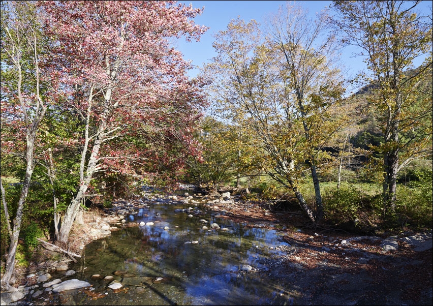 Image of Autumn along the Robbins Branch creek, a tributary of the White River near Ripton, Vermont., Carol Highsmith - plakat Wymiar do wyboru: 91,5x61 cm
