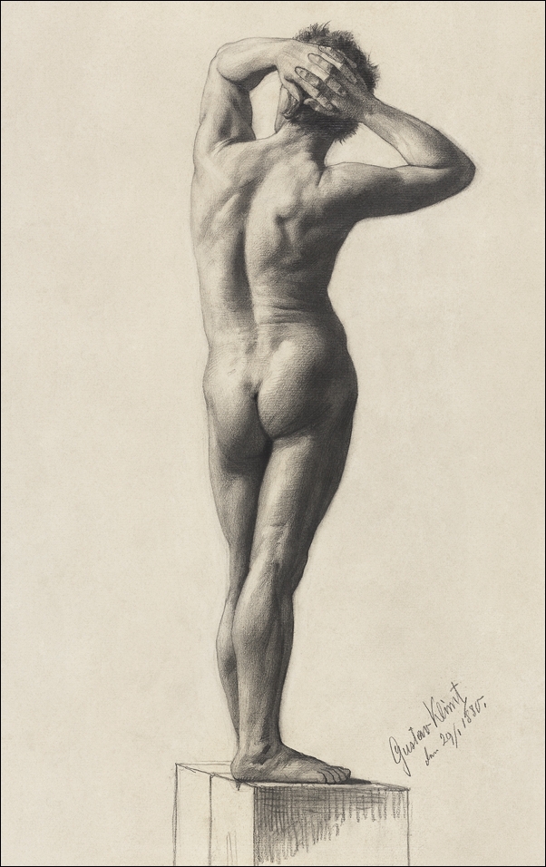 Image of Male Nude, Gustav Klimt - plakat Wymiar do wyboru: 40x60 cm