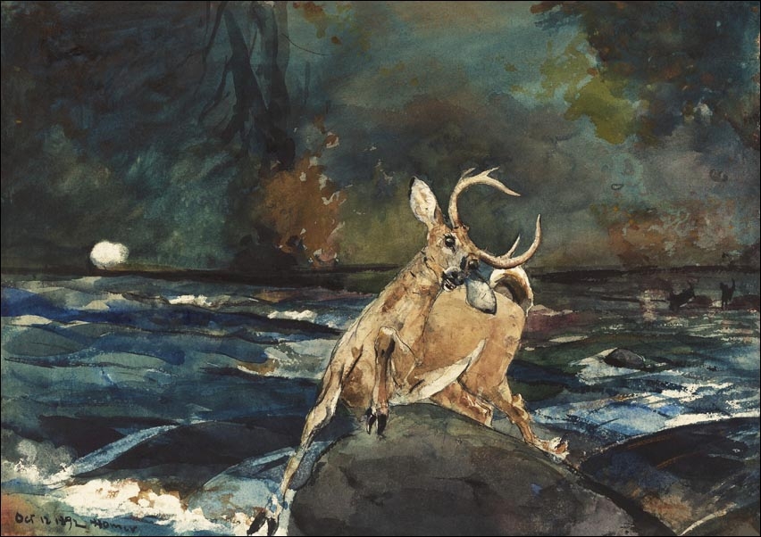 Image of A Good Shot, Adirondacks, Winslow Homer - plakat Wymiar do wyboru: 80x60 cm