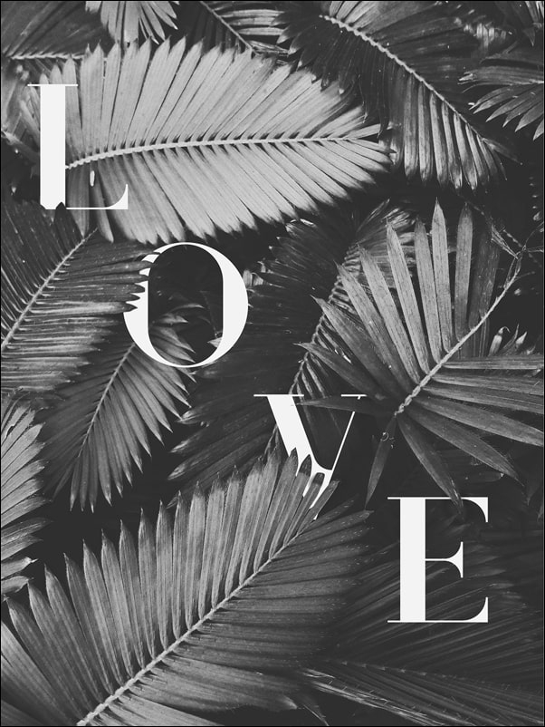 Image of Liście Love BW - plakat Wymiar do wyboru: 50x70 cm