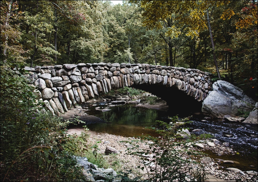 Image of Rock Creek Park, Carol Highsmith - plakat Wymiar do wyboru: 59,4x42 cm