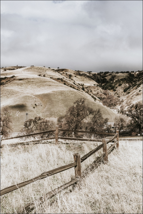 Image of Skyline view of Los Angeles, California., Carol Highsmith - plakat Wymiar do wyboru: 20x30 cm