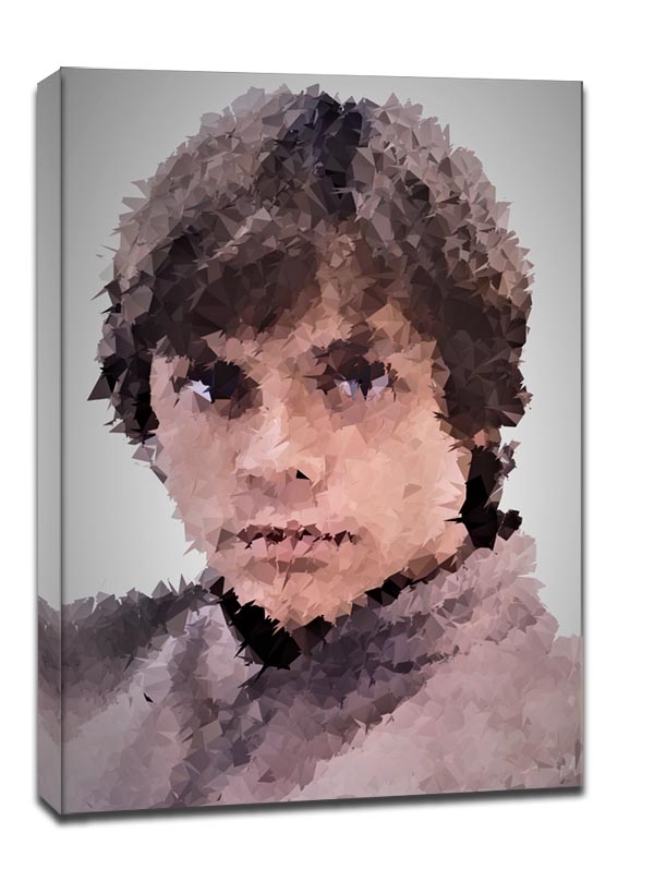Image of POLYamory - Luke Skywalker, Gwiezdne Wojny Star Wars - obraz na płótnie Wymiar do wyboru: 30x40 cm