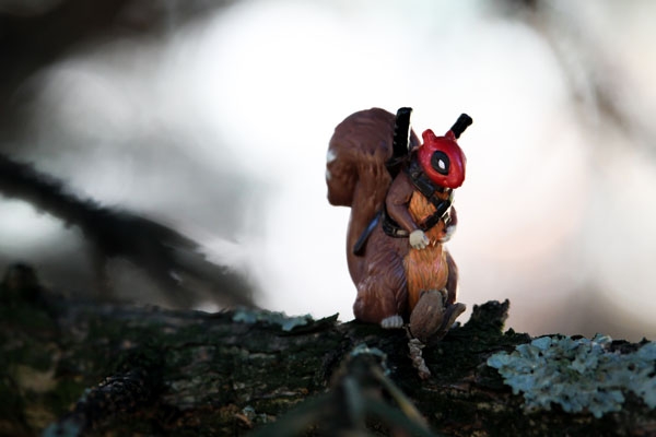 Image of Squirellpool - plakat Wymiar do wyboru: 29,7x21 cm