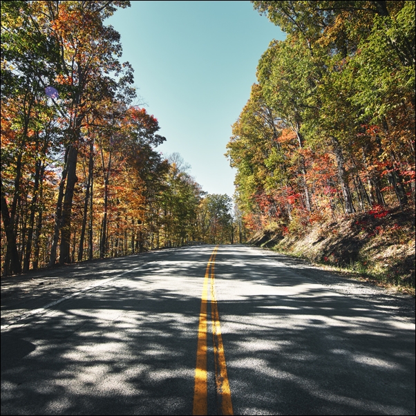 Image of Fall scene near Babcock State Park in Fayette County, West Virginia., Carol Highsmith - plakat Wymiar do wyboru: 40x40 cm