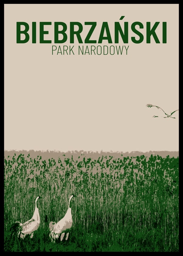 Image of Parki Narodowe, Biebrza - plakat Wymiar do wyboru: 50x70 cm