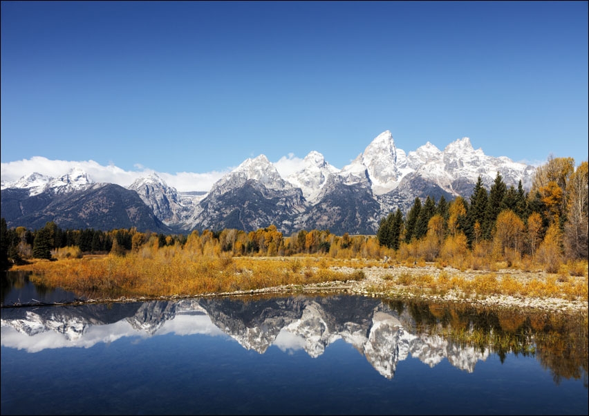 Image of The majestic peaks of the Teton Range reflect in a mountain stream in Grand Teton National Park in northwestern Wyoming., Carol Highsmith - plakat Wym