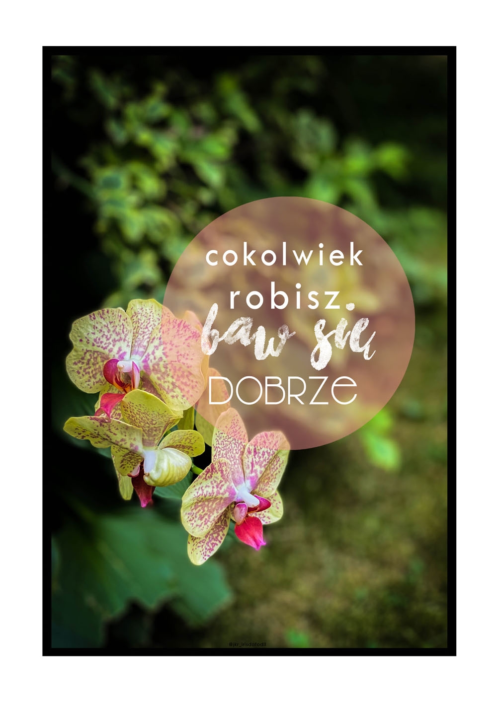 Image of baw się dobrze storczyk - plakat Wymiar do wyboru: 21x29,7 cm