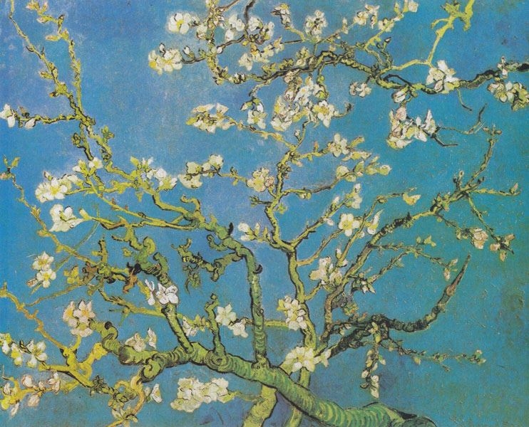 Image of Migdałowiec Van Gogh - plakat Wymiar do wyboru: 30x20 cm