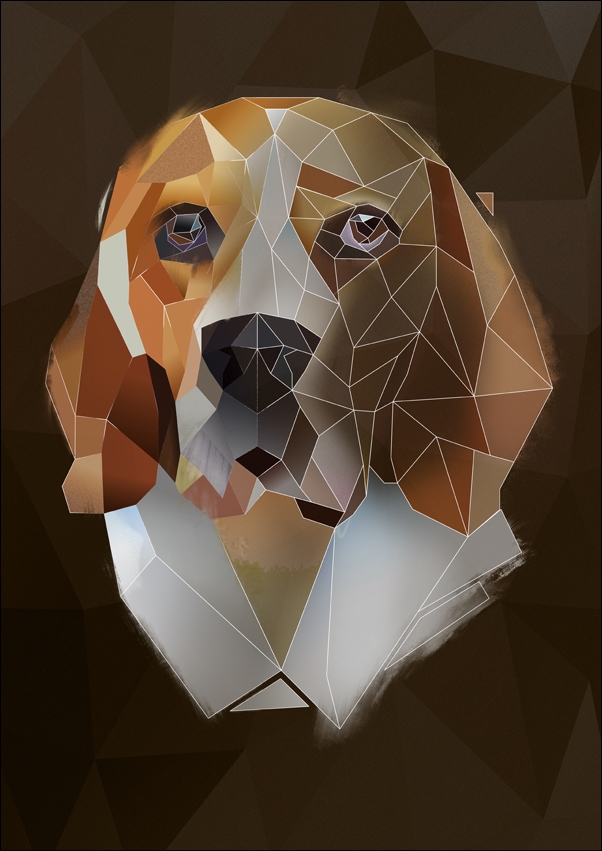 Image of Beagle, ciemne tło - plakat Wymiar do wyboru: 40x50 cm