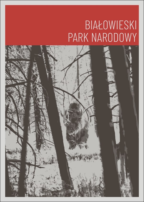 Image of Parki Narodowe, Bialowieża red - plakat Wymiar do wyboru: 50x70 cm