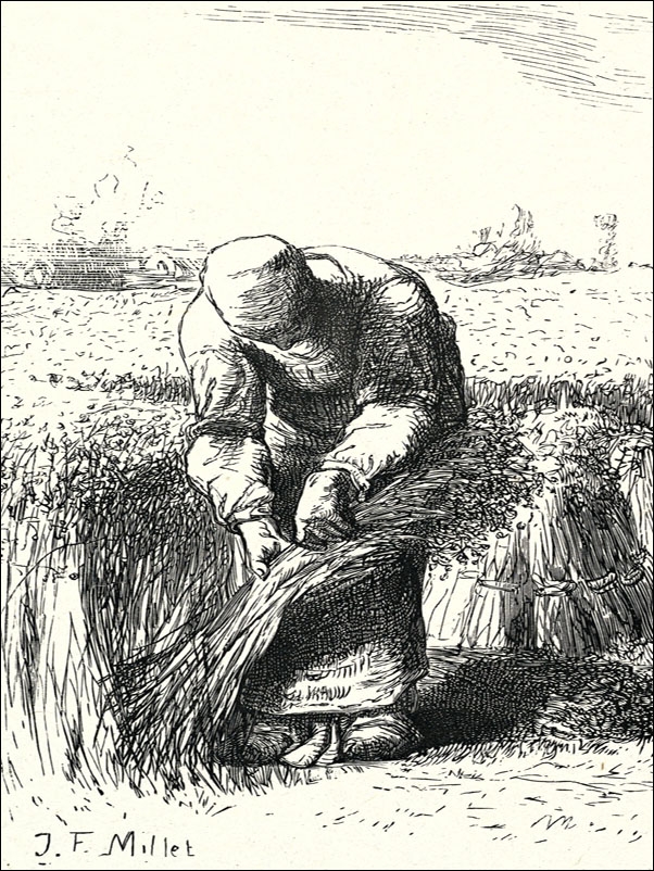 Image of The Wheat Gatherer, Jean-François Millet - plakat Wymiar do wyboru: 40x50 cm