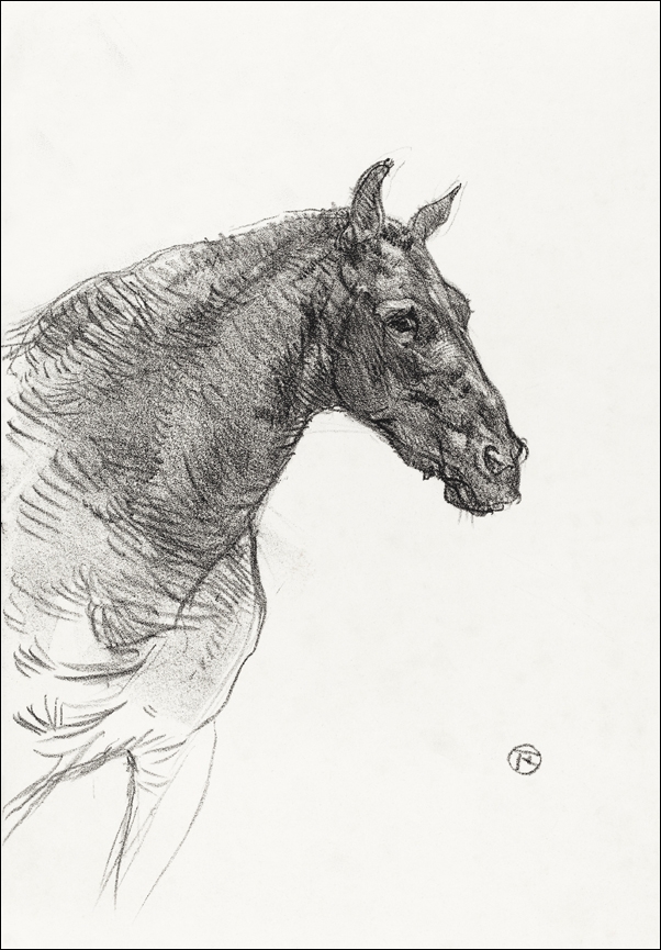 Image of Old Horse, Henri De Toulouse-Lautrec - plakat Wymiar do wyboru: 21x29,7 cm