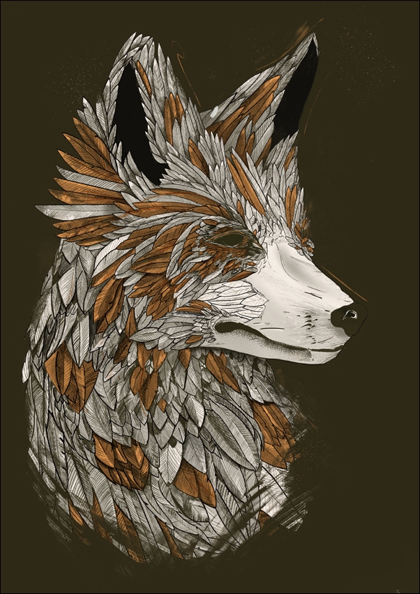 Image of Feathered Fox black - plakat Wymiar do wyboru: 20x30 cm