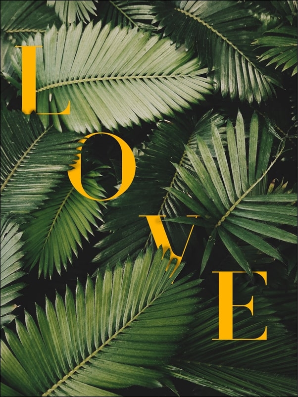 Image of Liście Love - plakat Wymiar do wyboru: 50x70 cm