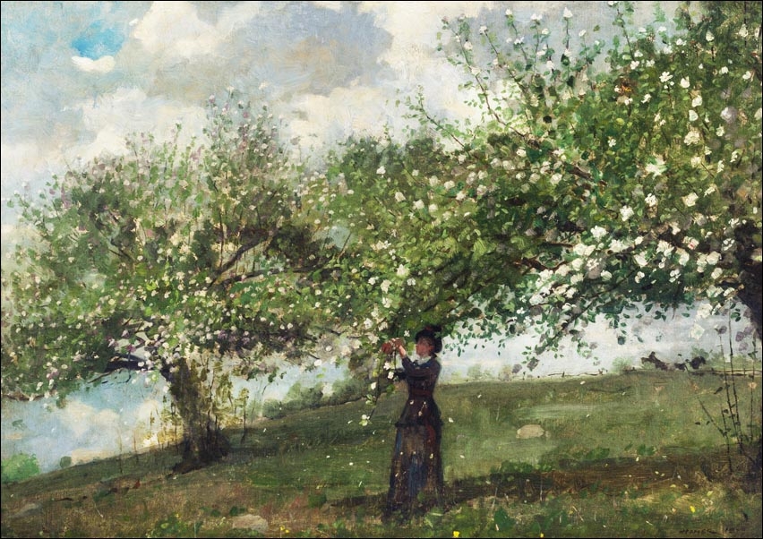 Image of Girl Picking Apple Blossoms, Winslow Homer - plakat Wymiar do wyboru: 30x20 cm