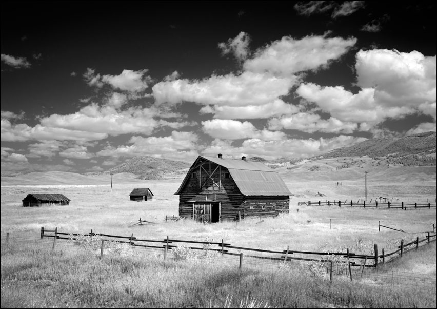 Image of Infrared view of barn in rural Montana, USA., Carol Highsmith - plakat Wymiar do wyboru: 30x20 cm