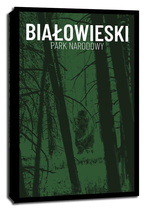 Image of Parki Narodowe, Bialowieża - obraz na płótnie Wymiar do wyboru: 50x70 cm