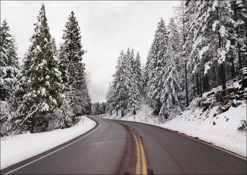 Image of A living snow globe scene and winter wonderland, created by a sudden mountain blizzard along California Highway 36., Carol Highsmith - plakat Wymiar d