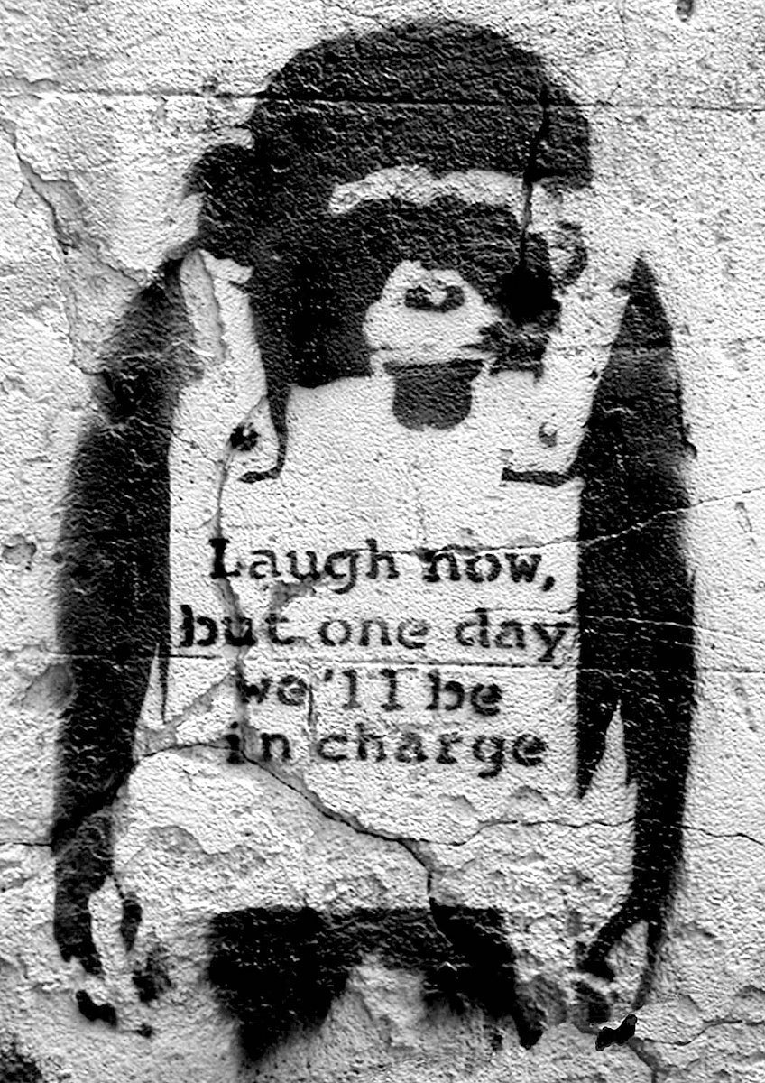 Image of Banksy Monkey Laugh now, but one day we'll be in charge - plakat