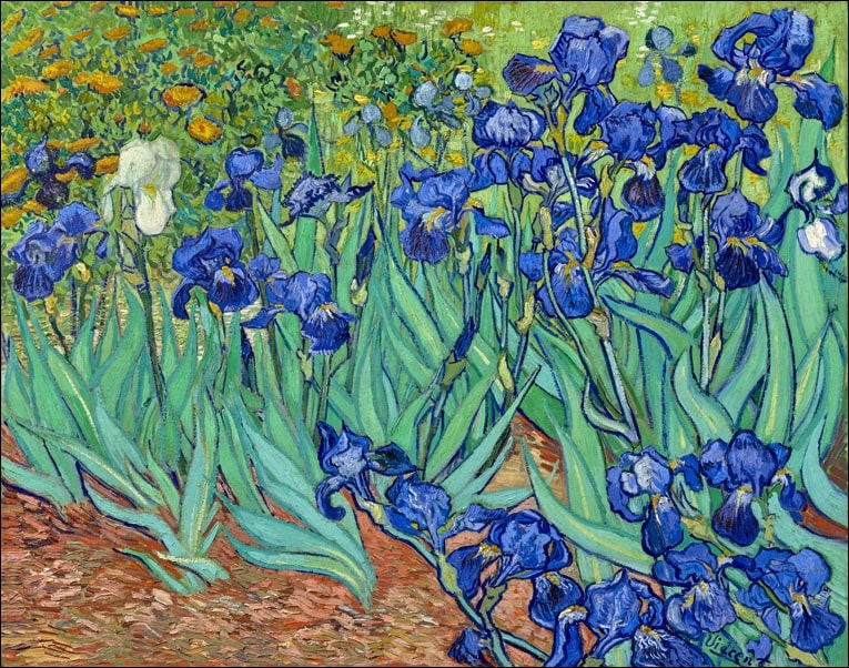 Image of Irysy, Vincent Van Gogh - plakat Wymiar do wyboru: 40x30 cm