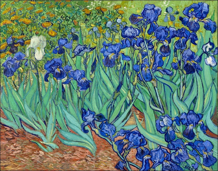 Image of Irysy, Vincent Van Gogh - plakat Wymiar do wyboru: 100x70 cm