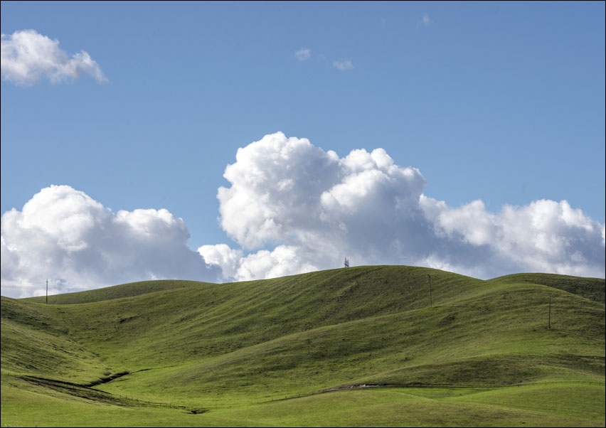 Image of View of the verdant San Joaquin Valley near Gustine in Merced County, California., Carol Highsmith - plakat Wymiar do wyboru: 100x70 cm