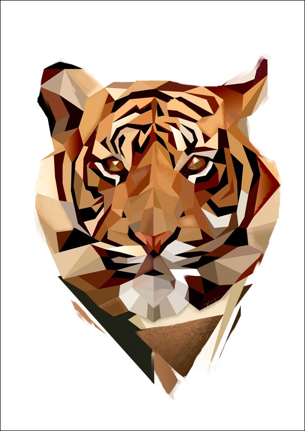 Image of TYGRYS białe tło - plakat Wymiar do wyboru: 60x80 cm