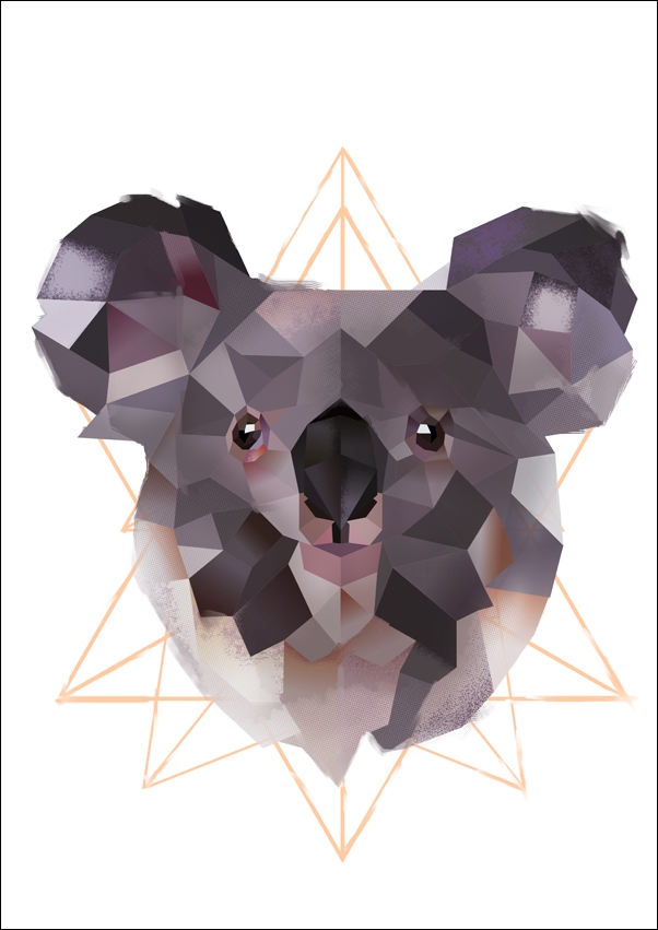 Image of koala białe tło - plakat Wymiar do wyboru: 20x30 cm