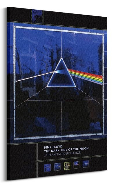 Image of Pink Floyd Dark Side Of The Moon 30th Anniversary - obraz na płótnie