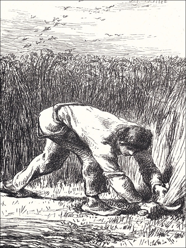 Image of The Reaper, Jean-François Millet - plakat Wymiar do wyboru: 42x59,4 cm