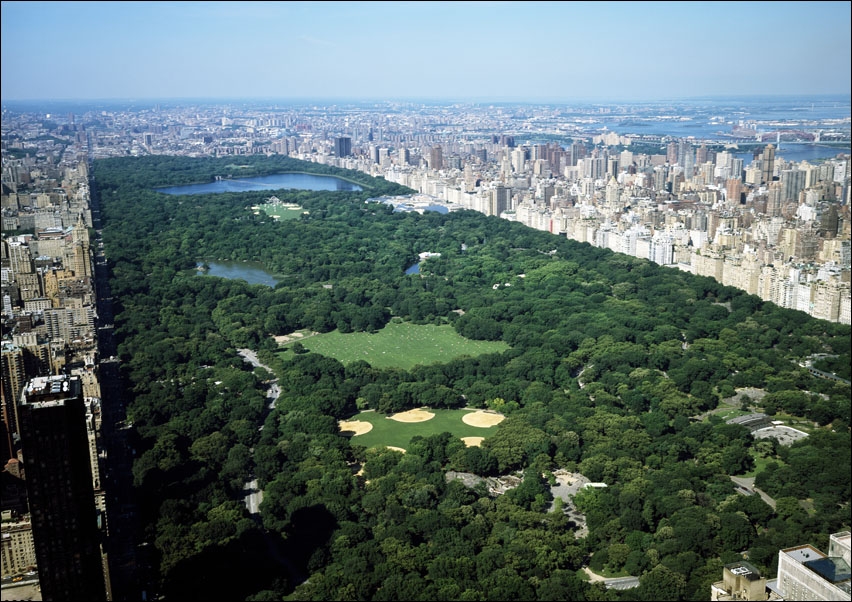 Image of Aerial view of Central Park, New York., Carol Highsmith - plakat Wymiar do wyboru: 50x40 cm