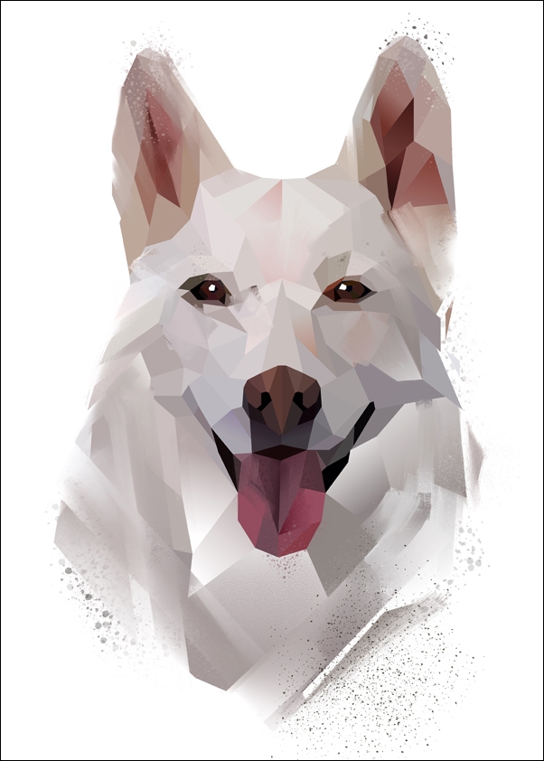 Image of husky - plakat Wymiar do wyboru: 21x29,7 cm