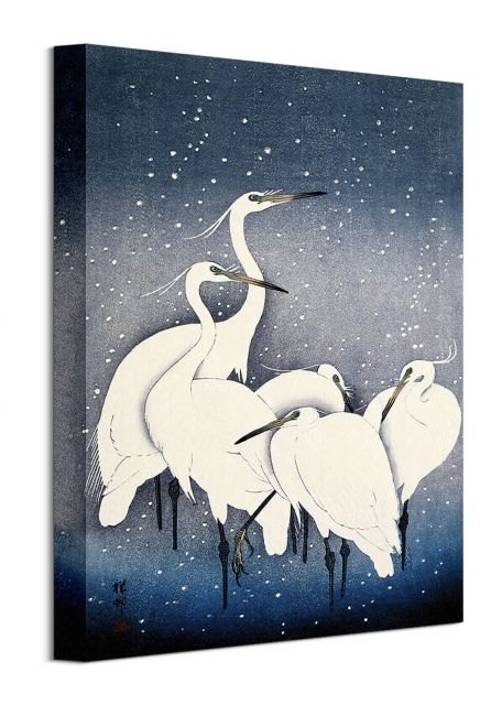 Image of Egrets on a Snowy Night - obraz na płótnie