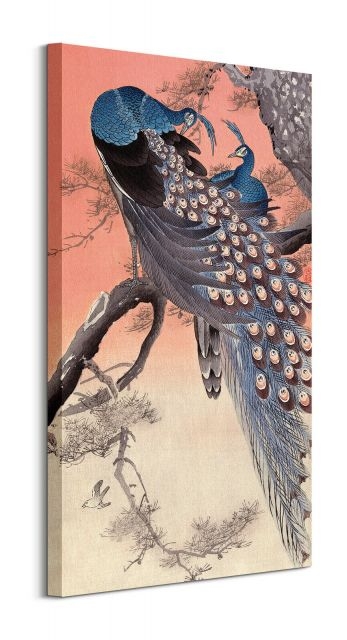 Image of Two Peacocks on Tree Branch - obraz na płótnie