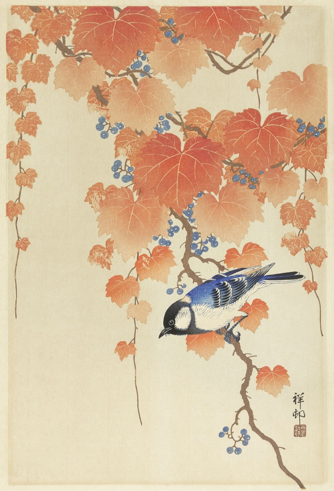 Image of Ohara Koson Great tit on paulownia branch (1925 – 1936) - plakat Wymiar do wyboru: 42x59,4 cm