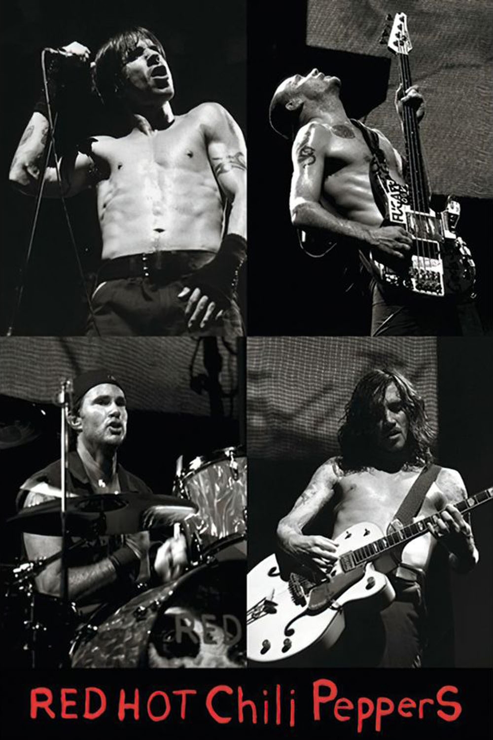 Image of Red Hot Chili Peppers - plakat