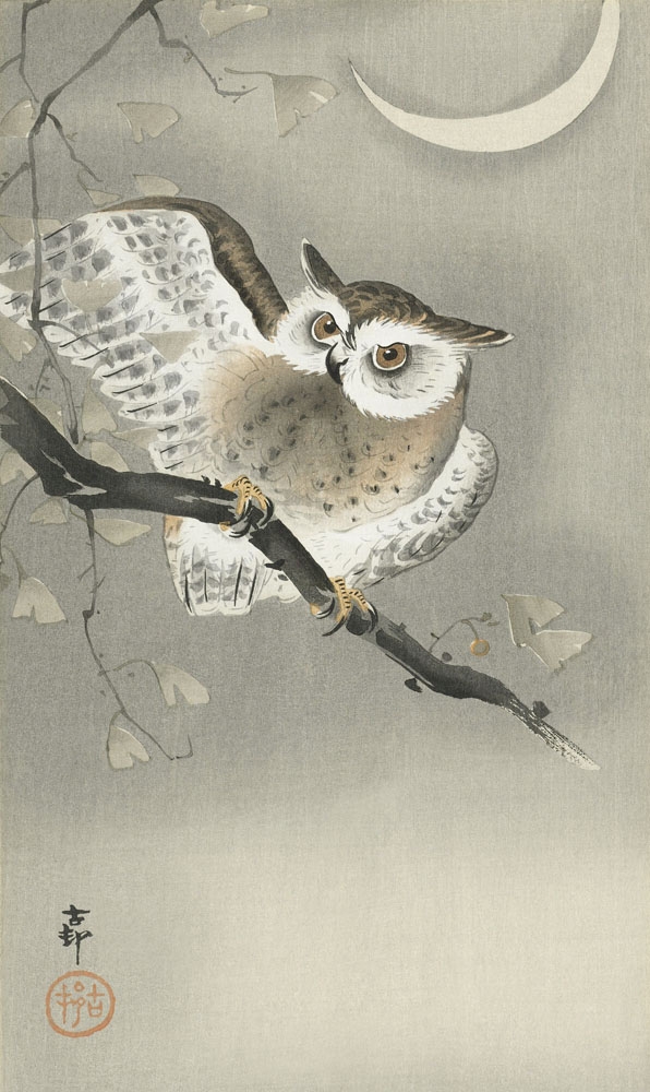 Image of Ohara Koson Long-eared owl in ginkgo (1900 – 1930) - plakat Wymiar do wyboru: 30x40 cm