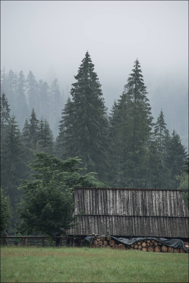 Image of Dolina Chochołowska, Tatry - plakat Wymiar do wyboru: 60x80 cm