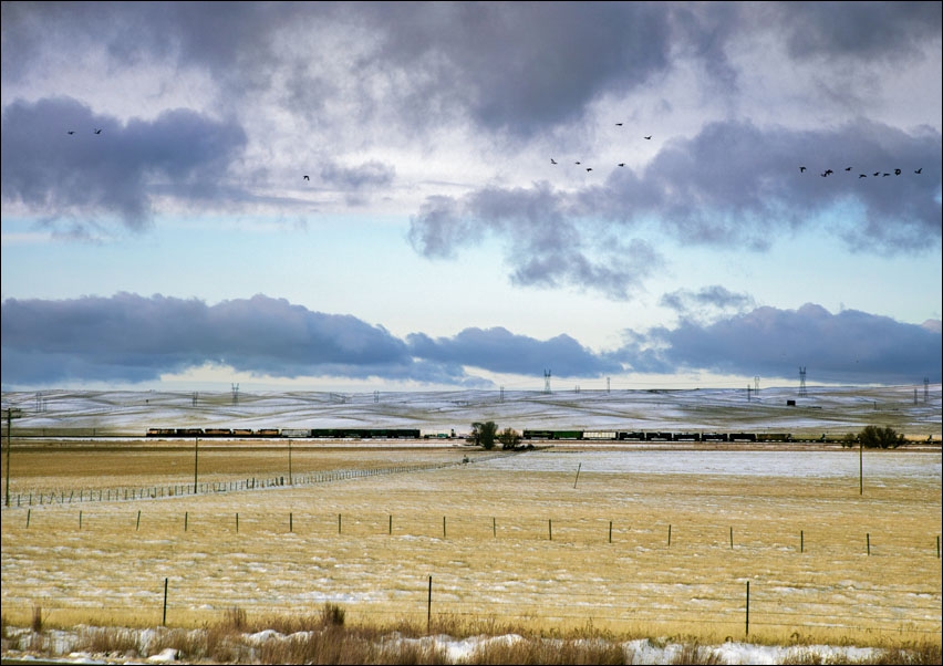 Image of Long train in Southern Michigan, Carol Highsmith - plakat Wymiar do wyboru: 42x29,7 cm