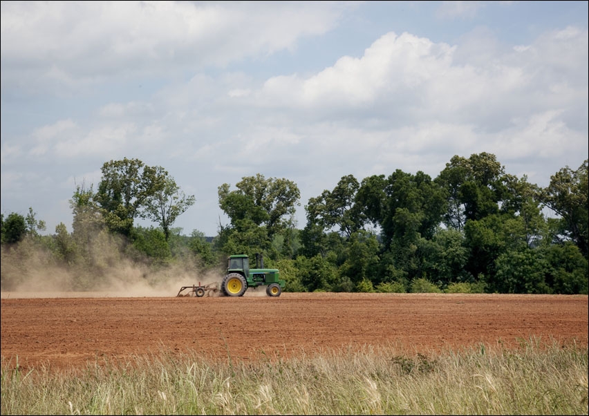Image of Farmland in Monroe County, Alabama, Carol Highsmith - plakat Wymiar do wyboru: 42x29,7 cm